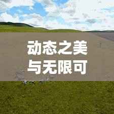 动态之美与无限可能的曲线探索