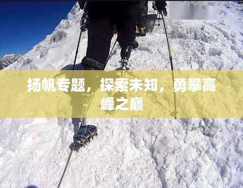 扬帆专题,探索未知,勇攀高峰之巅
