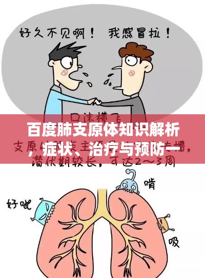 百度肺支原体知识解析,症状、治疗与预防一网打尽!