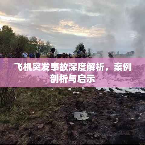 飞机突发事故深度解析,案例剖析与启示