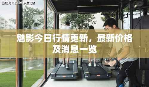 魅影今日行情更新,最新价格及消息一览