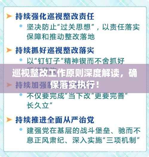 巡视整改工作原则深度解读，确保落实执行！