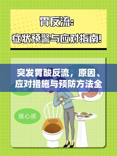 突发胃酸反流,原因、应对措施与预防方法全解析