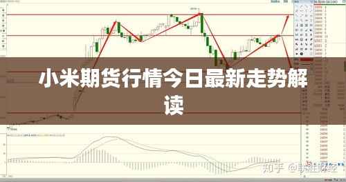 小米期货行情今日最新走势解读