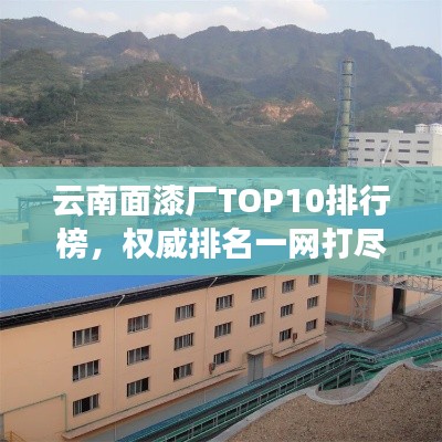 云南面漆厂TOP10排行榜,权威排名一网打尽