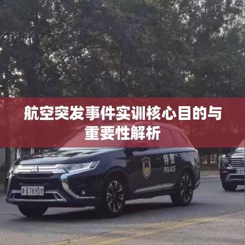 航空突发事件实训核心目的与重要性解析