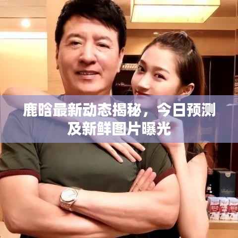 鹿晗最新动态揭秘,今日预测及新鲜图片曝光