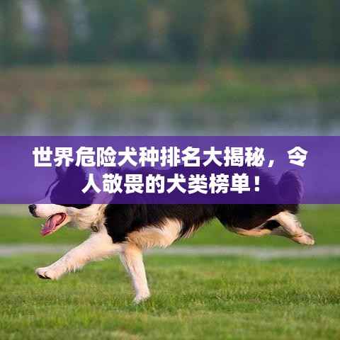 不修边幅