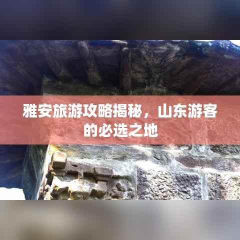 雅安旅游攻略揭秘,山东游客的必选之地