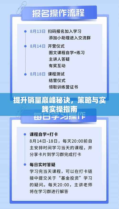 提升销量巅峰秘诀,策略与实践实操指南