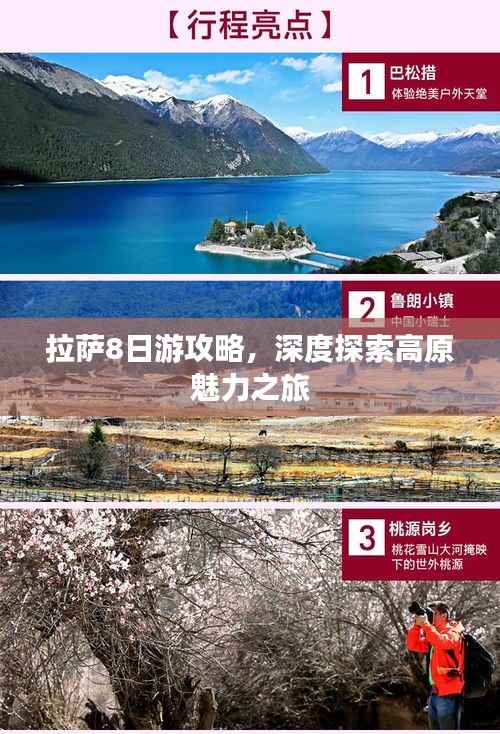 拉萨8日游攻略,深度探索高原魅力之旅