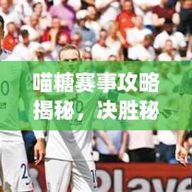 喵糖赛事攻略揭秘，决胜秘诀助你轻松夺冠！