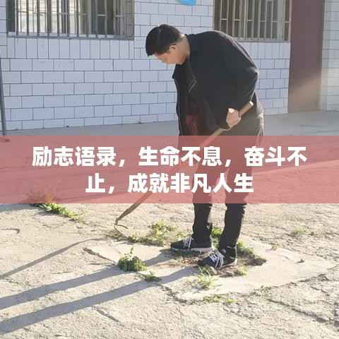 励志语录,生命不息,奋斗不止,成就非凡人生