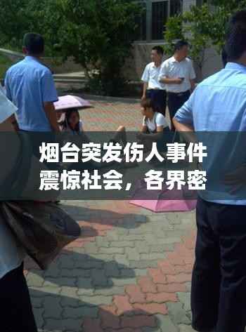 烟台突发伤人事件震惊社会,各界密切关注事件进展