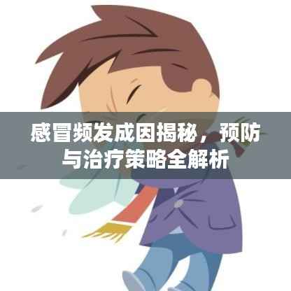 感冒频发成因揭秘，预防与治疗策略全解析