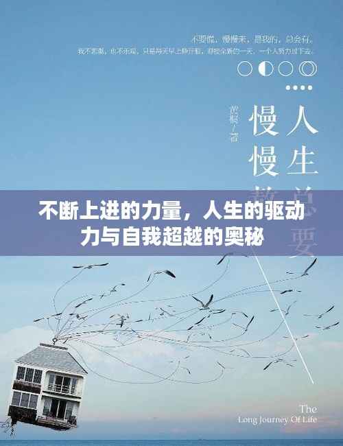 不断上进的力量,人生的驱动力与自我超越的奥秘