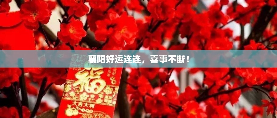 襄阳好运连连，喜事不断！