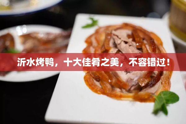 沂水烤鸭,十大佳肴之美,不容错过!
