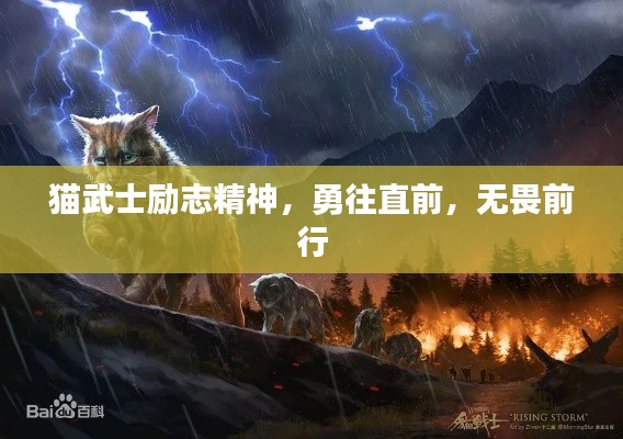 猫武士励志精神,勇往直前,无畏前行