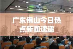 广东佛山今日热点新闻速递