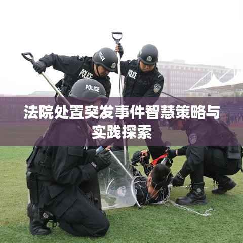 法院处置突发事件智慧策略与实践探索