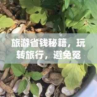 旅游省钱秘籍,玩转旅行,避免冤枉钱支出攻略!