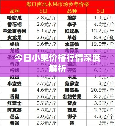 今日小果价格行情深度解析