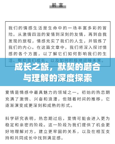 成长之旅,默契的磨合与理解的深度探索