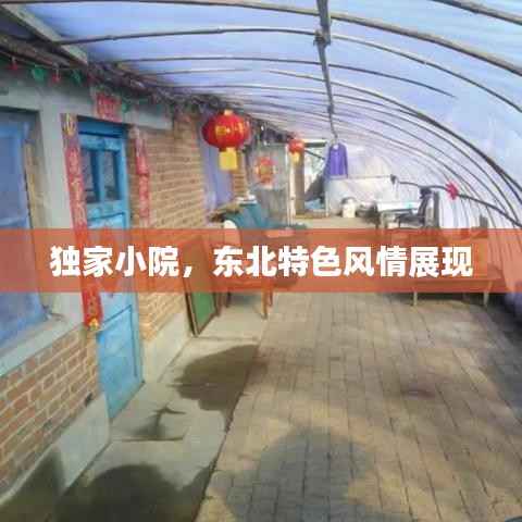 独家小院,东北特色风情展现