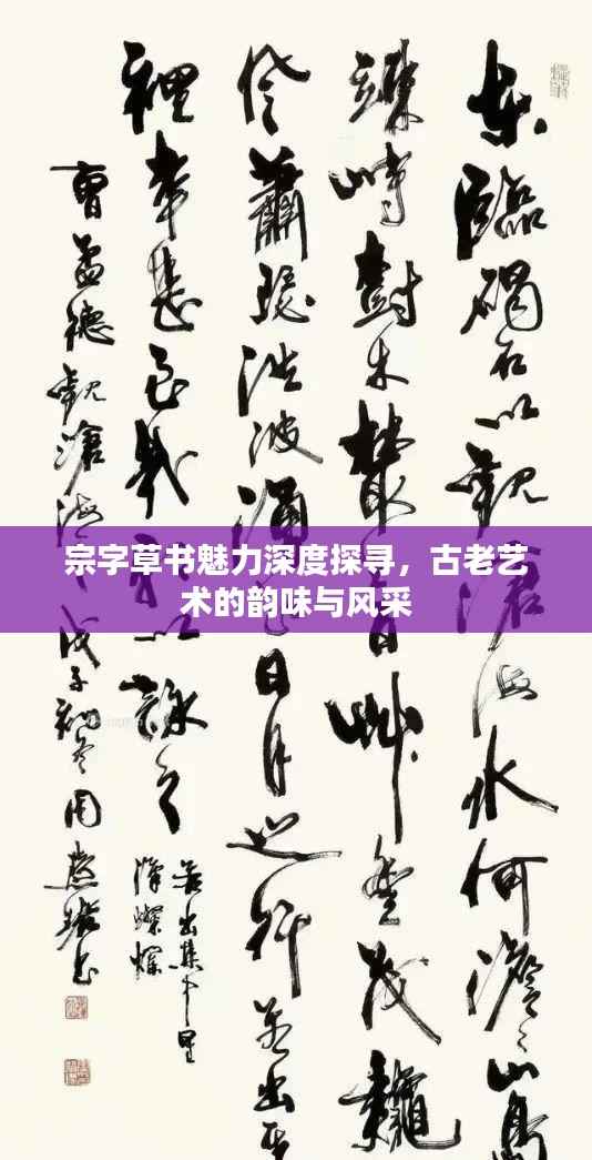 宗字草书魅力深度探寻,古老艺术的韵味与风采