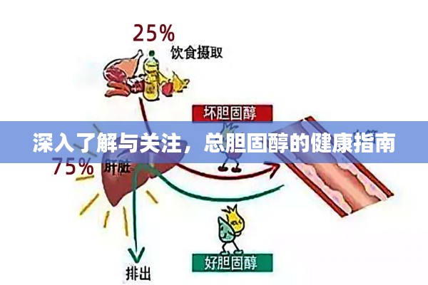 深入了解与关注,总胆固醇的健康指南