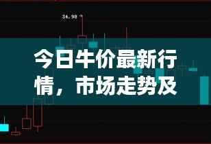 纲举目张 第2页