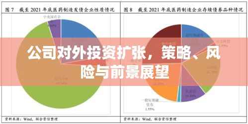 公司对外投资扩张，策略、风险与前景展望