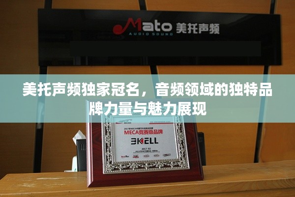 美托声频独家冠名,音频领域的独特品牌力量与魅力展现